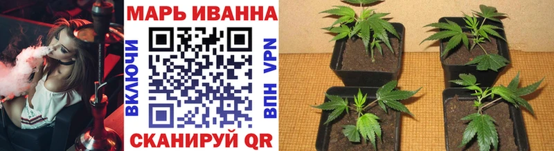 Как найти наркотики Нолинск Бошки Шишки Меф мяу мяу СК ГАШ