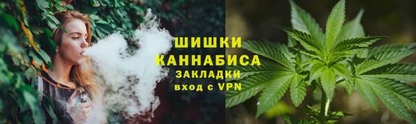 молекула духа Зерноград