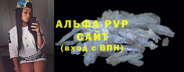 прущие грибы Надым