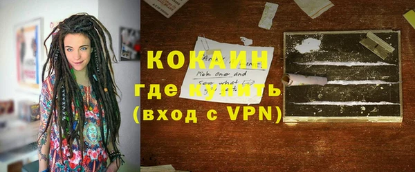 прущие грибы Надым