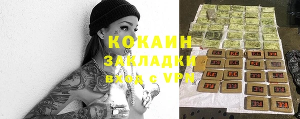 прущие грибы Надым