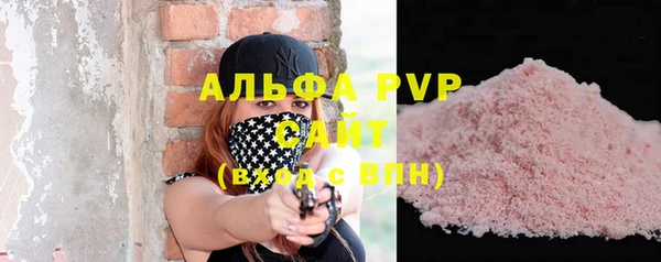 прущие грибы Надым