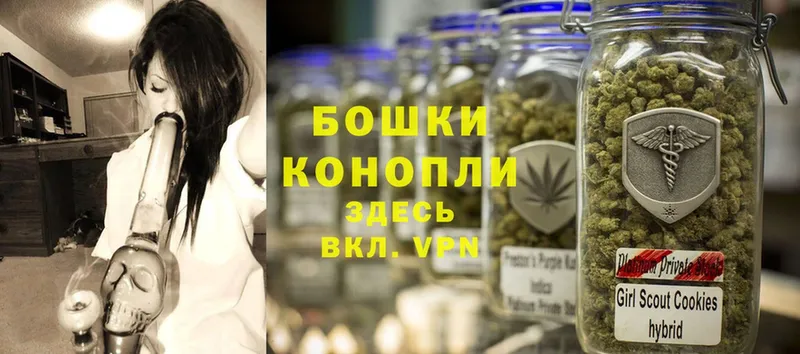 Конопля THC 21%  купить наркотик  Нолинск 